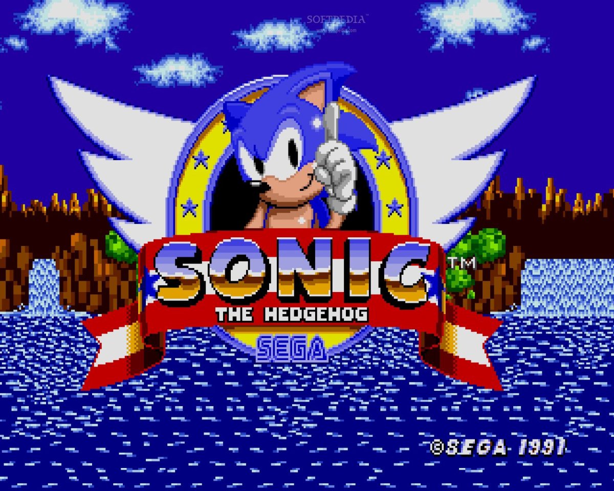 Sonic the hedgehog